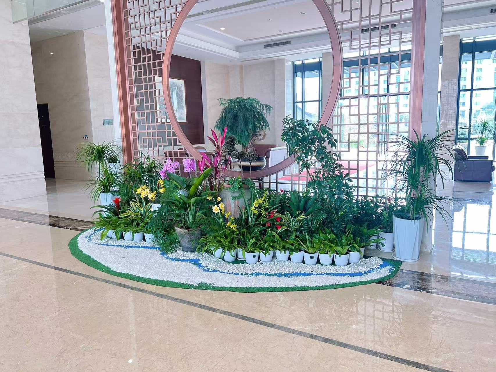 宁波杭州湾花卉出租价格 宁波杭州湾花卉出租价格